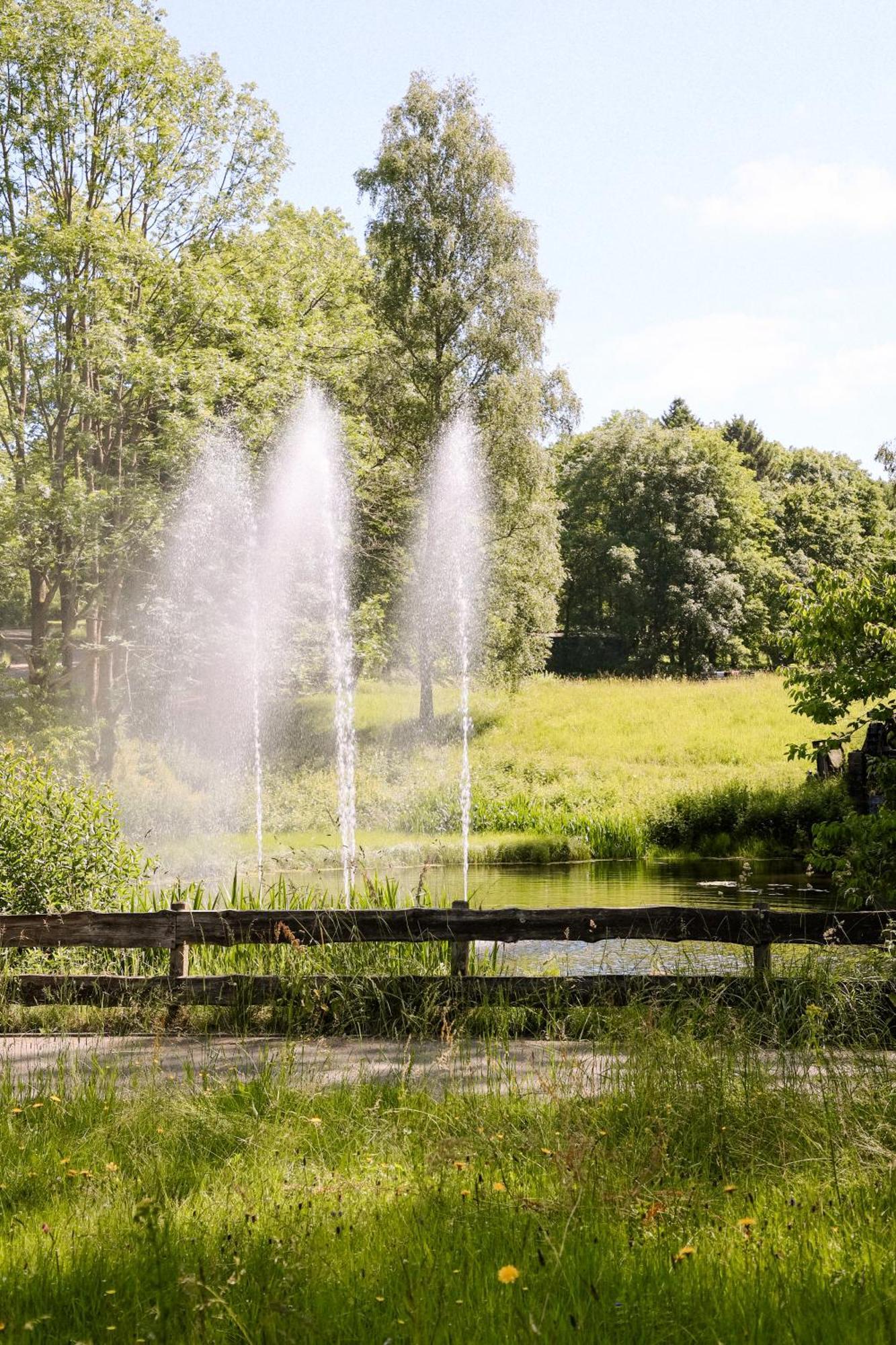 Apartment 540, Oberharz, Mit Schwimmbad Und Sauna Braunlage Dış mekan fotoğraf